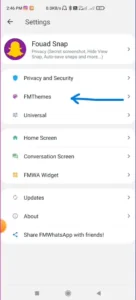 FM WhatsApp theme library