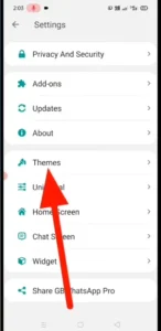 GB whatsapp theme option