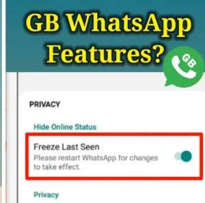 GB WhatsApp Options